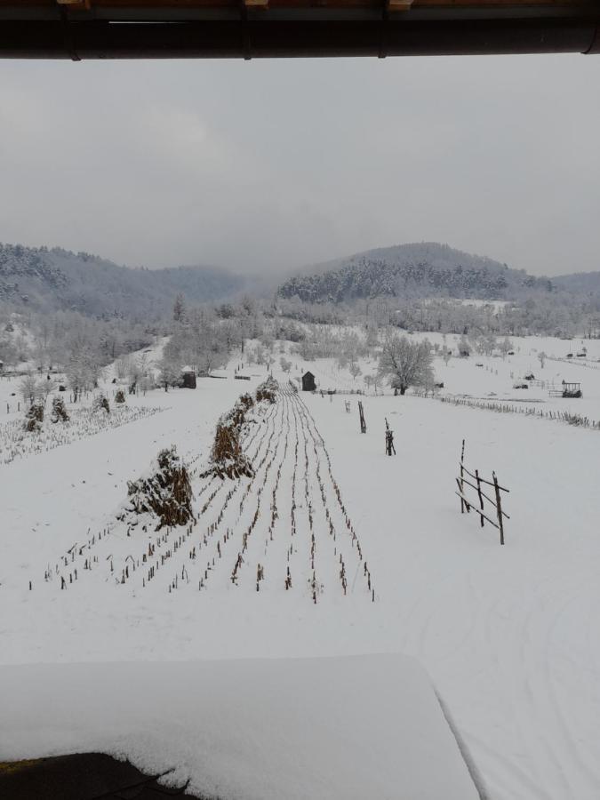 Pensiunea Sanziene Villa Strîmtura Екстериор снимка