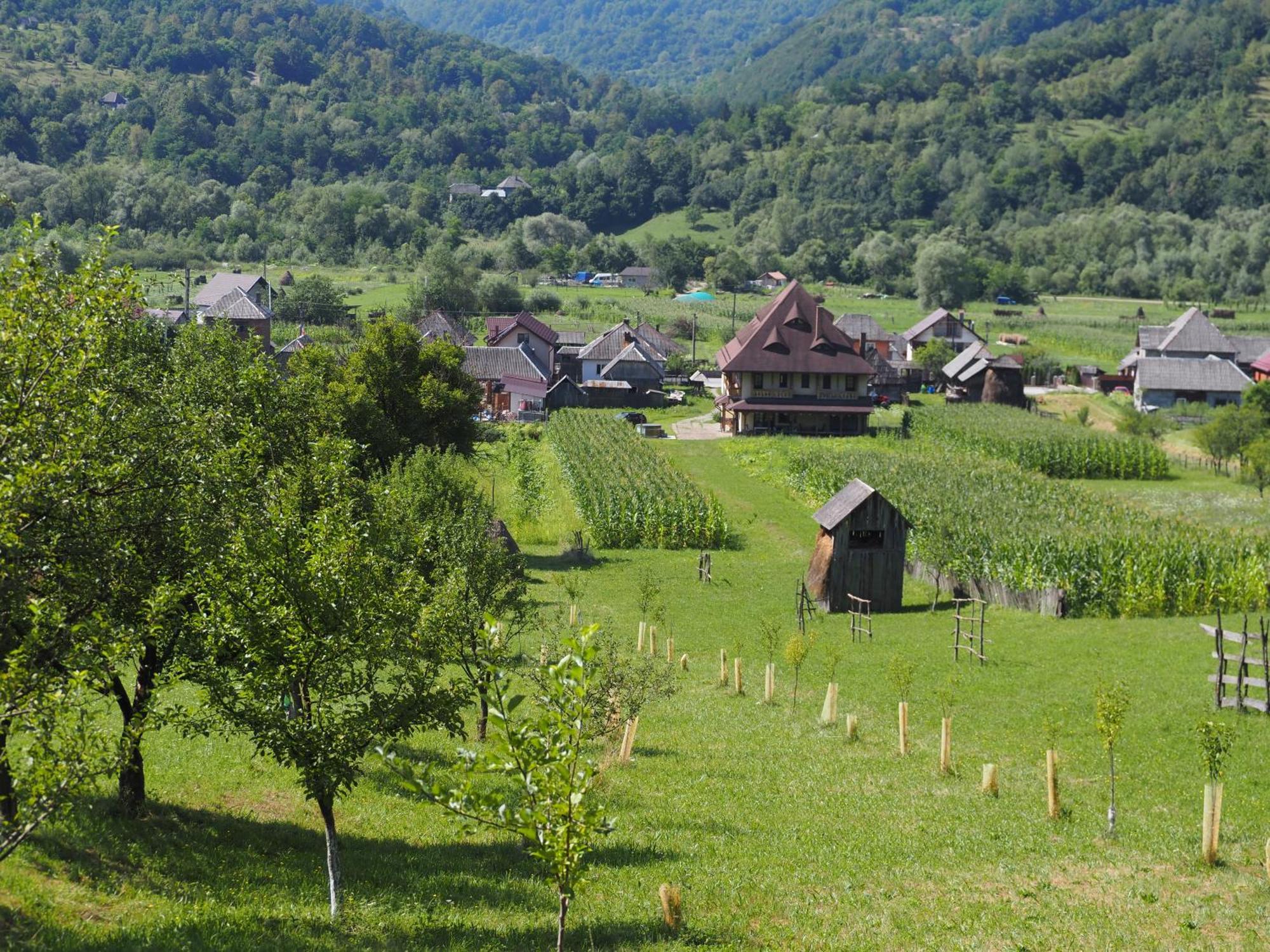 Pensiunea Sanziene Villa Strîmtura Екстериор снимка