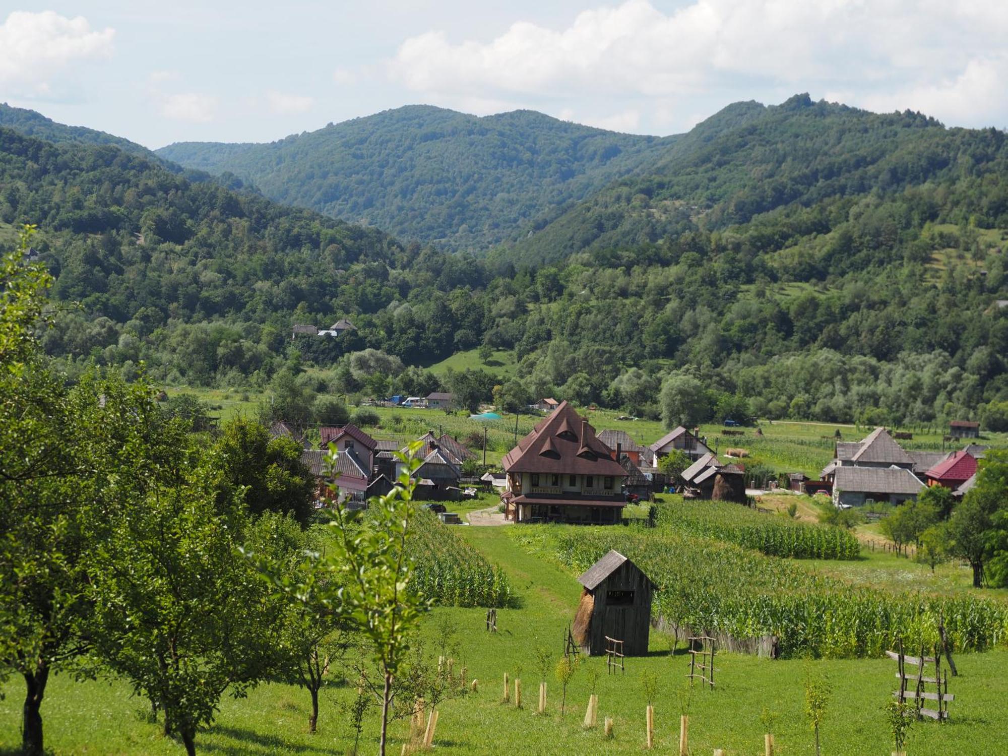 Pensiunea Sanziene Villa Strîmtura Екстериор снимка