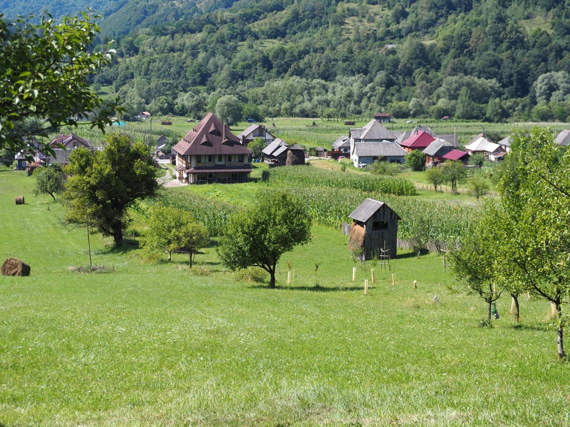 Pensiunea Sanziene Villa Strîmtura Екстериор снимка